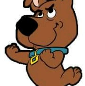 Meet your Posher, Oscar